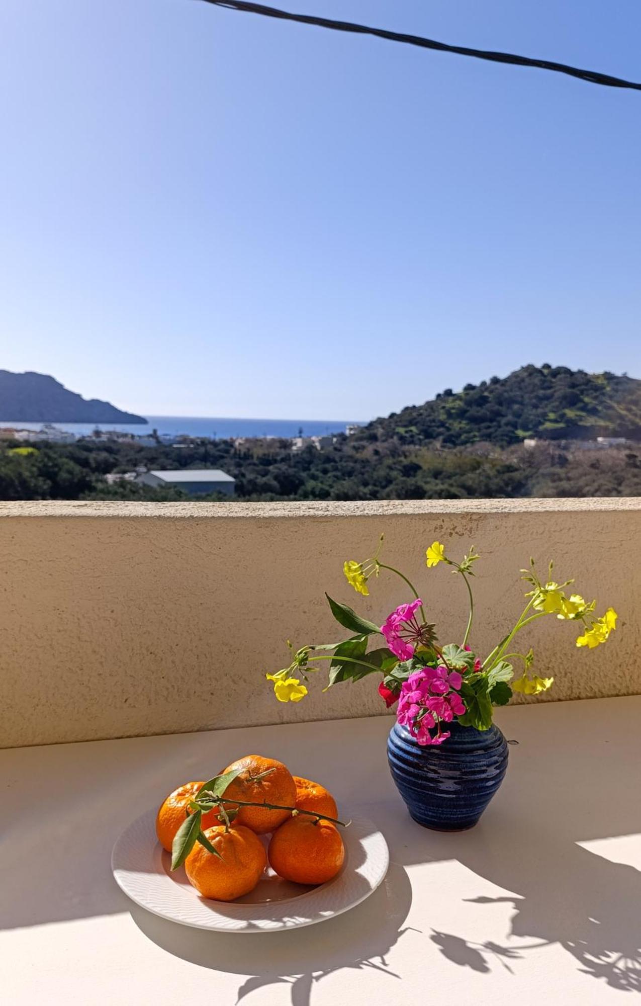 Antonis Apts, Physio Fitness Retreats Plakias Exterior foto